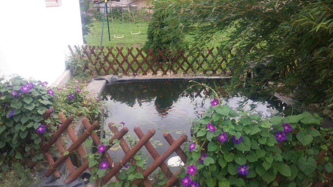 Rákóczi Vendégház Poroszló Esterno foto
