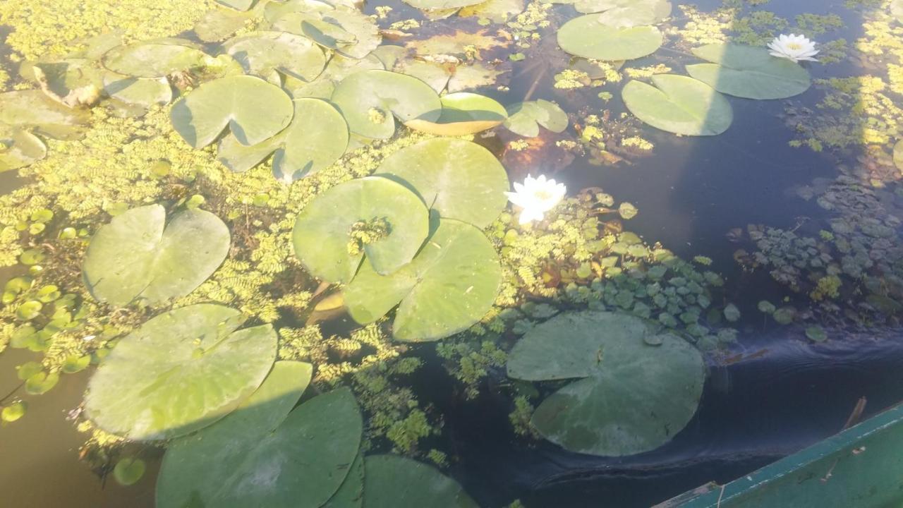 Rákóczi Vendégház Poroszló Esterno foto